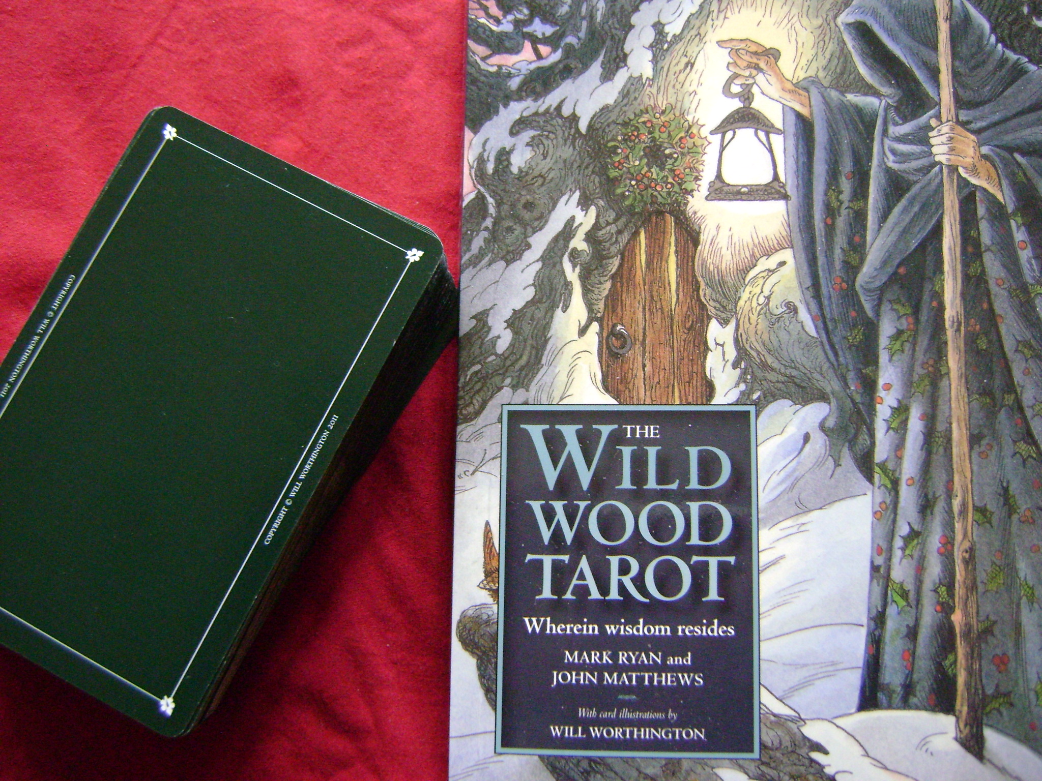 The Wildwood Tarot Coneflower Soul